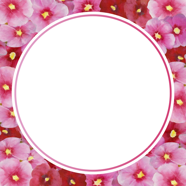 pink,screen,spring,red,beautiful,petal,design,season,oil painting,Korea,border,nature,flower,watercolor,hollyhock,round,painting,background,plant,Rose of Sharon,illustration,fresh,circle,card