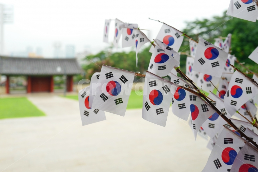 태극기,대한민국,우리나라,태극기나무,한국전통,대한독립,독립만세,한국전통,한국문화,korean traditional,korean culture