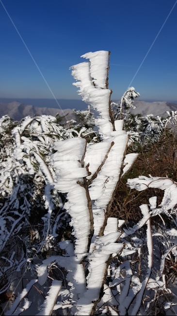 상고대,눈,snow,겨울산,겨울바람,mountain,sky