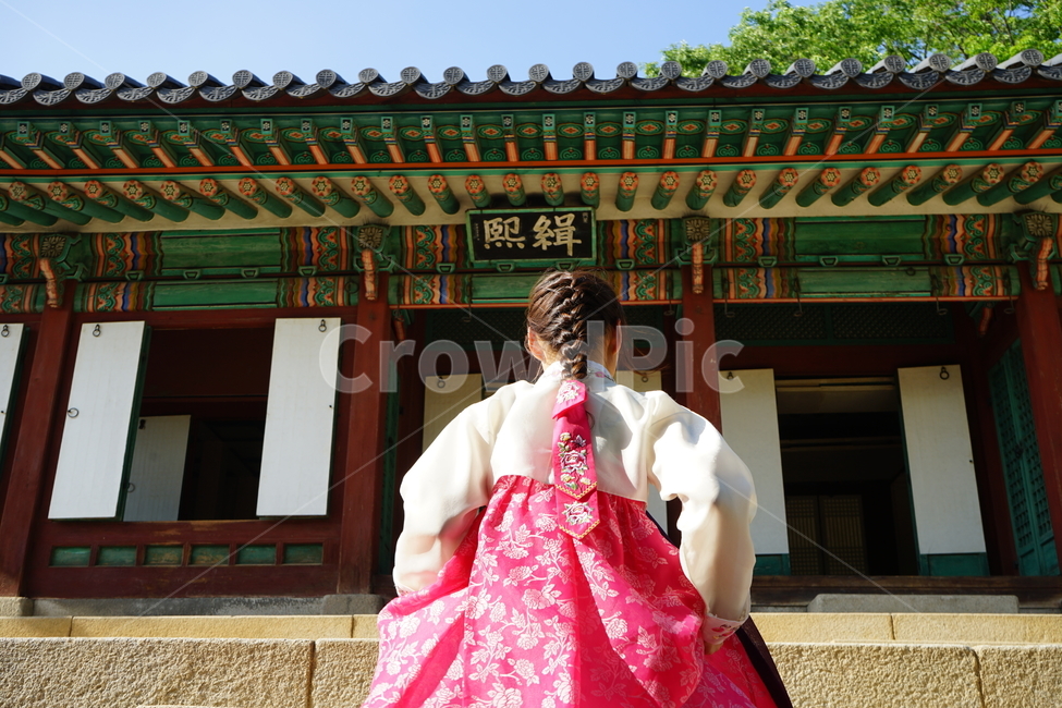 한복,궁,경복궁,서울,전통,traditional,핑크,분홍
