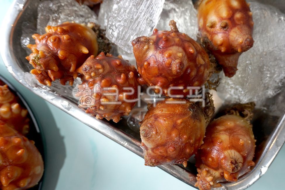 멍게,수산물,제철수산물,음식,해산물