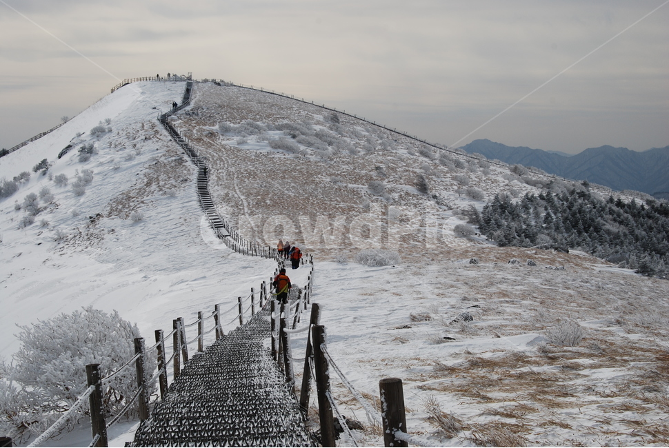 wind noise,mountains,snow scene,beauty,ecosystem,snow tree,greatness of nature,scenery,trees,mountain climbing,healing,season,land,ridge,mysterious mountain,Korea,sky,nature,famous Korean mountain,hiking,hiking trail,stone,environment,Sobaeksan Mountain,e