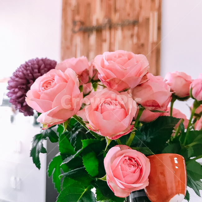 꽃,flower,식물,분홍장미,장미,꽃부케,plant