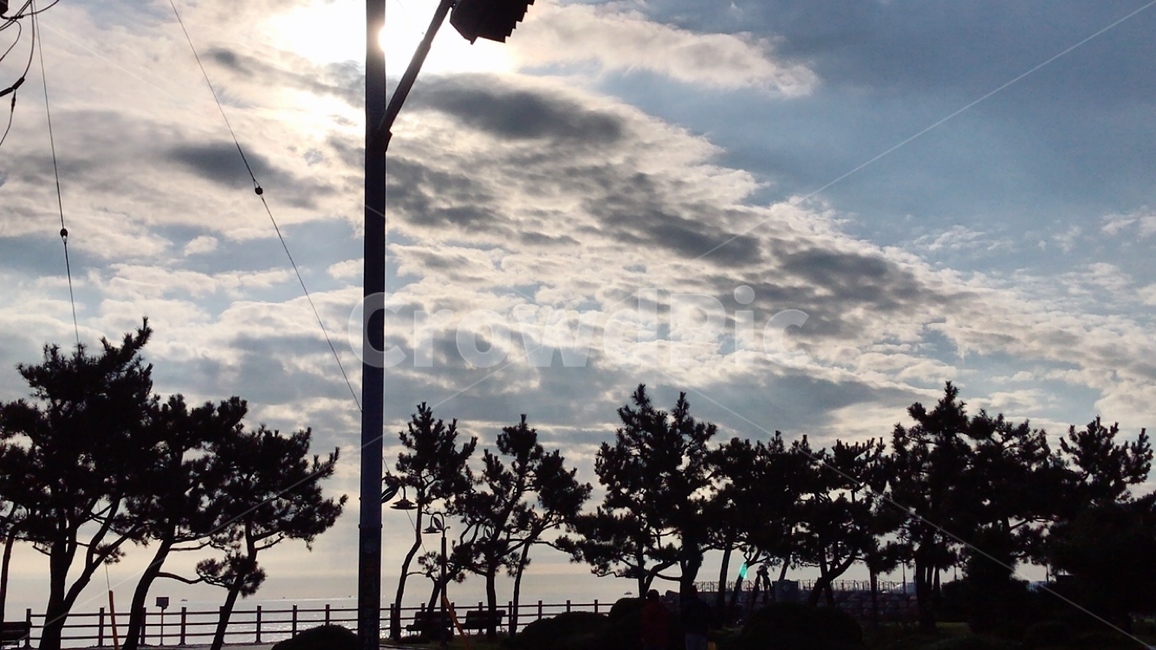 하늘,나무,구름,바다,길,sky,tree,sea,cloud,street