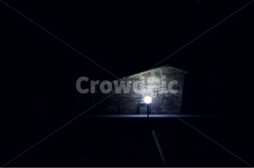 가로등,조명,불빛,밤,덩쿨벽,넝쿨벽,건물,야경,밤,풍경,nightscape,night,landscape