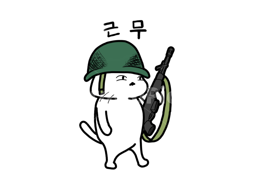 고양이,군대,귀여운,표현,표정,누끼,remove background,그래픽,일러스트레이션,graphic,illustration