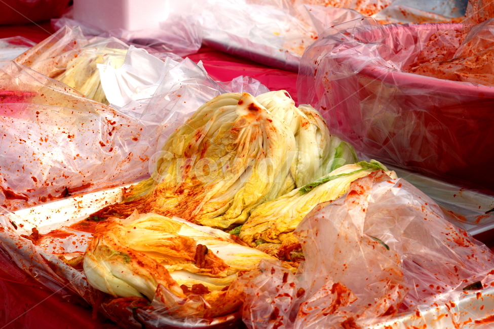 김치,김장,김장김치,배추,절임배추,배추김치,김장철,겨울,음식,식재료,요리,food,cook,meal,dishes,food reserves,채소,야채,vegetables,한식,한국음식,한국요리,korean food,korean dishes,korean meal,korean cook