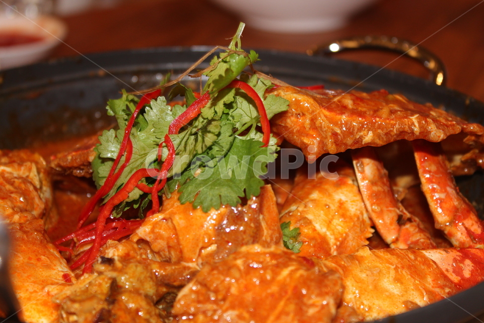seafood,해물,음식,lobster,랍스터,게,crab,꽃게,sealife,식사,meal,요리,dish,curry,카레,동물,음식,식재료,요리,food,cook,meal,dishes,food reserves