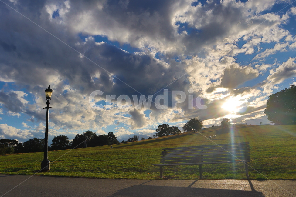 자연,풍경,공원,햇빛,가로등,park