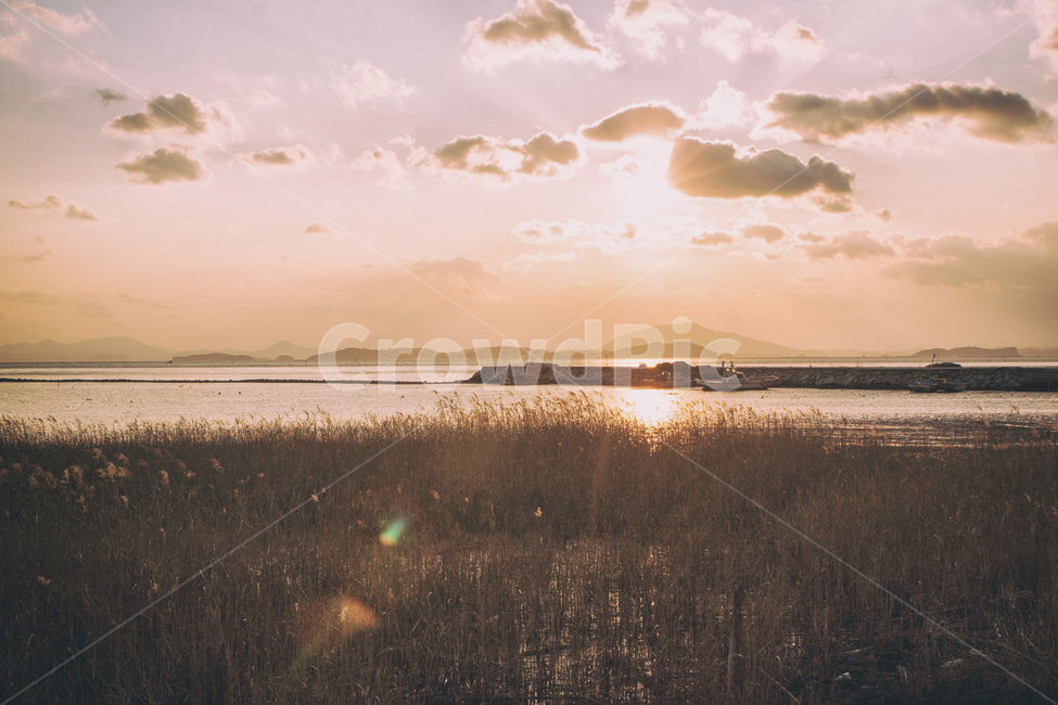 바다,일몰,갯벌,만,풍경,자연,하늘,구름,태양,해,햇빛,해안,바닷가,갈대,sea,sunset,sunfall,sunlight,bay,nature,landscape,sky,cloud,sun,항구,port,자연,풍경,nature,landscape,light,빛,flare,플레어