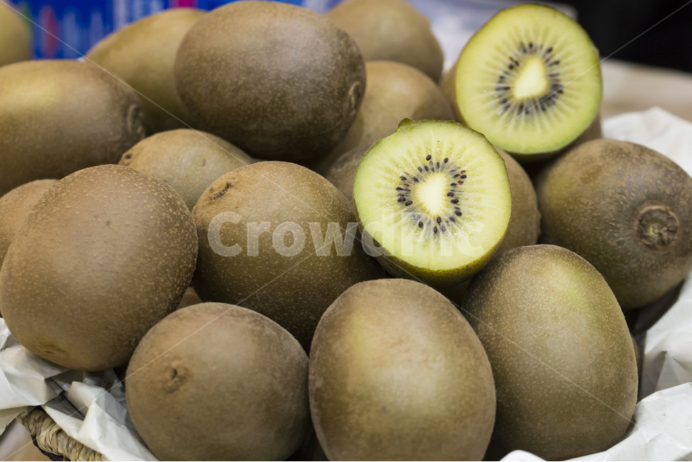 키위,과일,열매,그린키위,녹색,단면,과일,열매,fruit