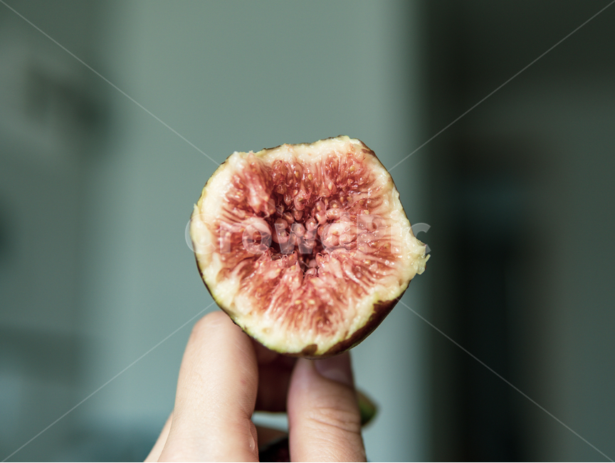 무화과,과일,단면,무화과꽃,과육,채소,야채,식재료,음식,디저트,신선하다,맛있다,과즙,식감,생무화과,열매,과실,고급과일,별미,손,fig,hand,fruit,vegetable,ingredients,fresh,flesh,식물,과일,열매,fruit