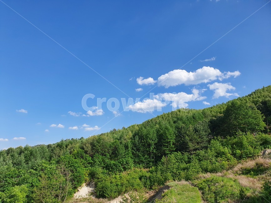 산,하늘,나무,풍경,자연,sky,mountain,landscape,scenery,scene,view