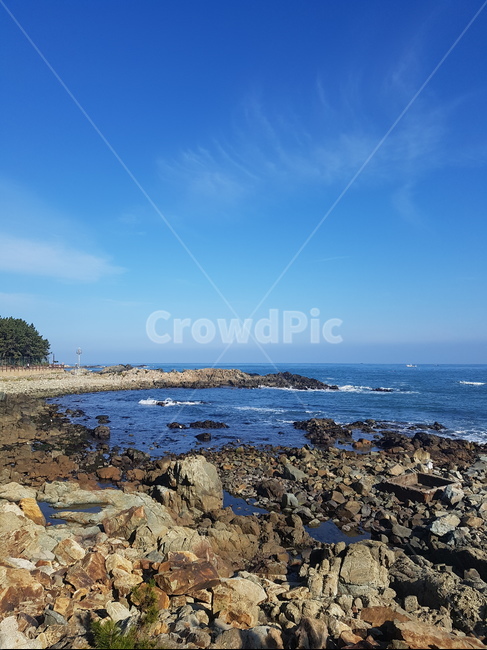 바다,sea,부산,blue,돌
