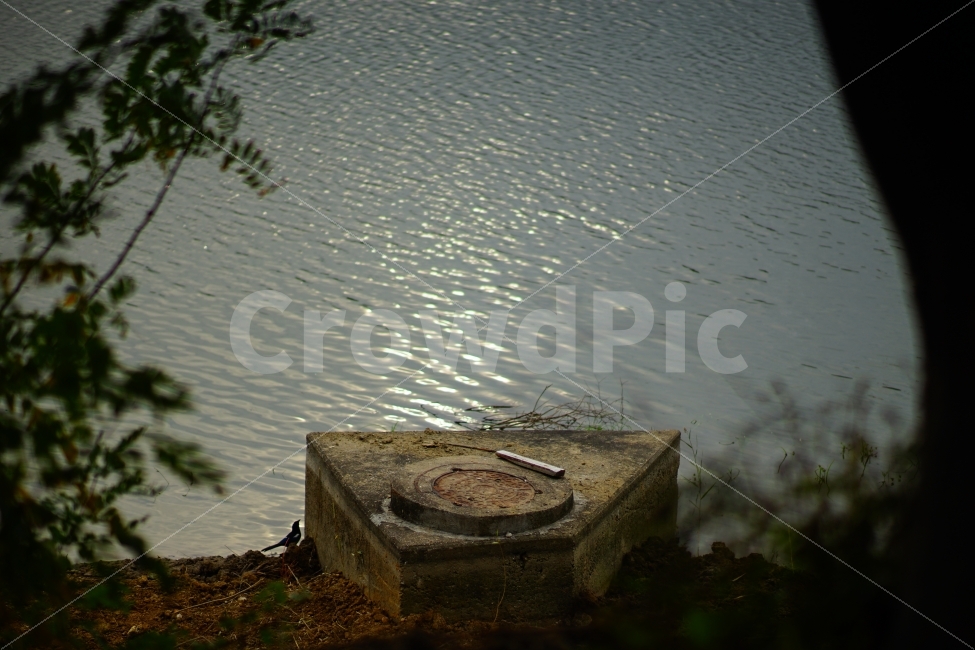 새,까치,강가,물결,금빛,해질녘,포인트,bird,magpie,river,wave,golden,sunset,point,자연,풍경,nature,landscape,water,물