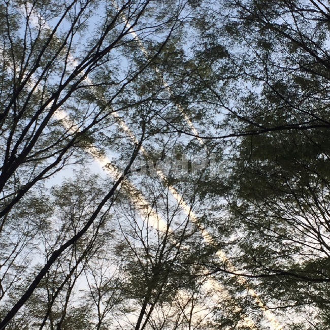 자연풍경,하늘,노을,구름,공원,봄,계절