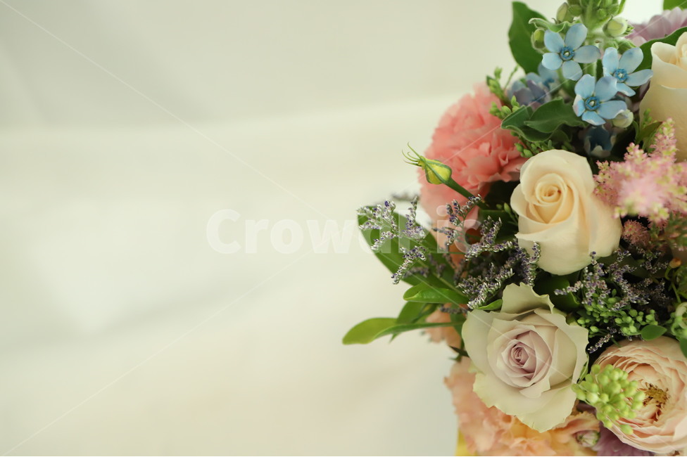 plant,식물,flower,꽃,blossom,flowerarrangement,feeling,sensible,자연,색감,색깔,색채,시즌,nature,감성사진,따뜻한,힐링,감성,배경,계절,만개,봄,근접,장미,테이블,블루옥시,꽃,flower