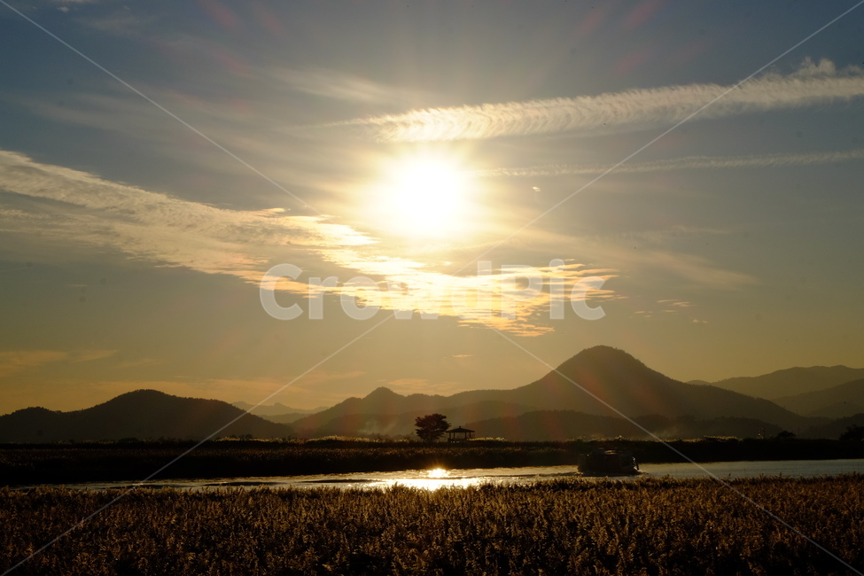 순천만,갈대,순천,하늘,노을,sunset,배,일몰