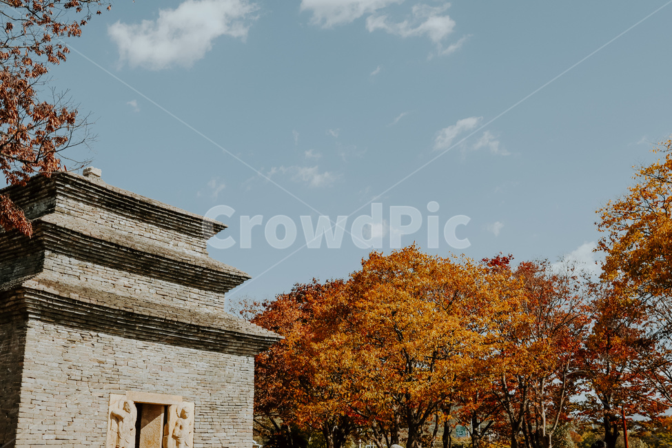 건물,building,nature,자연,하늘,가을