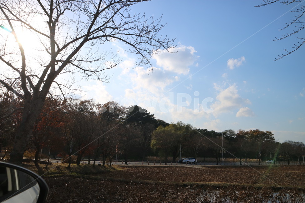 드라이브,경주,구름,날씨,가을,나무,가을모습,가을풍경,자연,풍경,nature,landscape,tree,plant,식물,ground,바닥