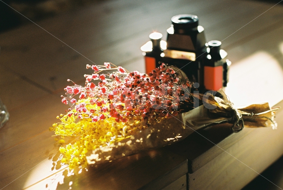 Gypsophila,pretty photo,prop photo,Emotion,film,camera,film camera,Emotional photo