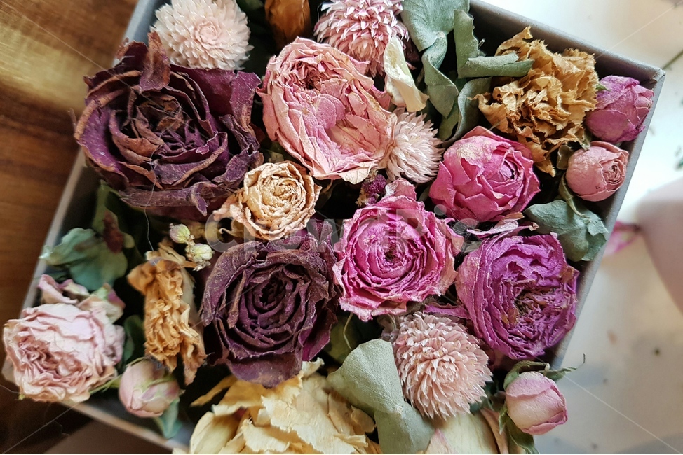 꽃,플라워,드라이플라워,데코레이션,장식,꽃,flower,인테리어,실내디자인,interior design
