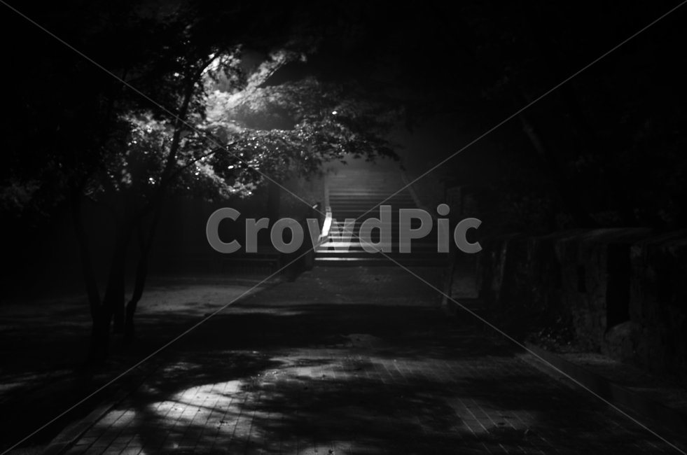 계단,오르막,가로등,야간,저녁,밤,새벽,handrail,banister,난간,안개공원,고독,감정,감성,디자인,필,느낌,분위기,서정,슬픔,우울,그리움,옛생각,회상,기억,추억,색감,칼라,블루톤,시안,디자이너,사보,카다로그웹,홈페이지,배너,팝업,모바일,콘텐츠,마케팅,오브젝트,이미지