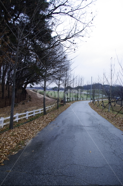 목장,울타리,길,나무,풍경,자연,풍경,nature,landscape,asphalt,아스팔트,road,도로