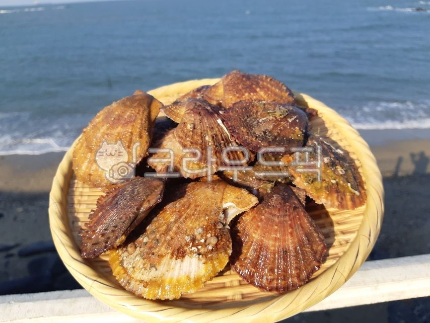 자연산가라비,자연산,가리비,국내산가리비,활가리비