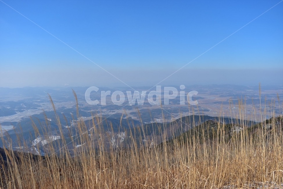 오서산,설경,눈꽃,풍경,겨울,자연,눈,스포츠,등산,산행,nature,snow,겨울풍경,느낌,아름다운,신비로운,경이로운,다큐,필,힐링,명산,국립공원,순백,landscape,winter,season,천제단,운해,영산,트레킹,인기명산,조망,전망,억새,광천,겨울,계절,winter,season,자연,풍경,nature,landscape,한국자연풍경,한국자연경관,korea nature landscape,grass,잔디,plant,식물,lawn,reed,갈대
