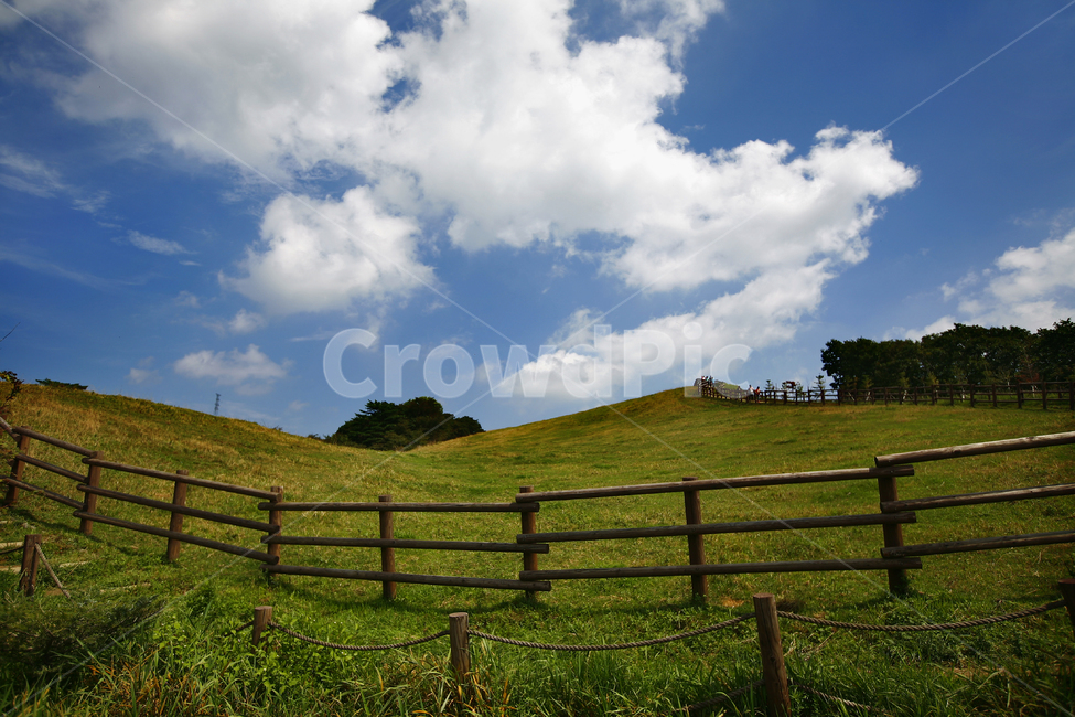 풍경,초원,목장,파란하늘,구름,대관령,양떼목장,삼양목장,자연,풍경,nature,landscape,grassland,목초지,field,들,outdoors,옥외,mound,투수판