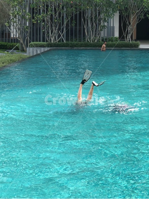 수영장,물,오리발,해외여행,여름,시원함,쿨,여름,계절,summer,season,사람,인물,인간,human,person,여행,휴가,traveling,vacation,trip,water,sport,스포츠,sports,diving,다이빙,diver,잠수부