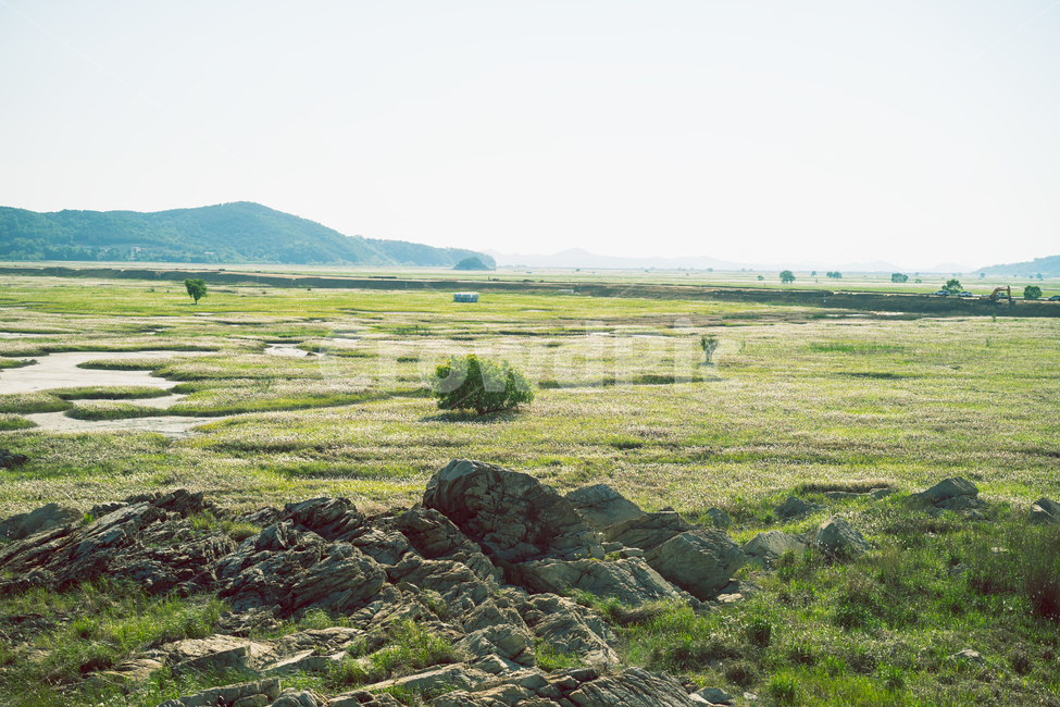 자연,풍경,가을,들녘,들판,자유,광활,자연,풍경,nature,landscape,감성,sensible,feeling,ground,바닥,outdoors,옥외,plateau,고원,land,땅