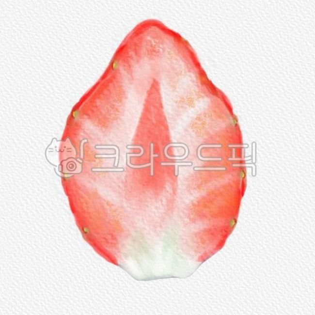 plant,식물,딸기,딸기반쪽,자른과일,과일,과일그림,딸기그림,딸기단면,strawberry,fruit,그래픽,일러스트레이션,graphic,illustration
