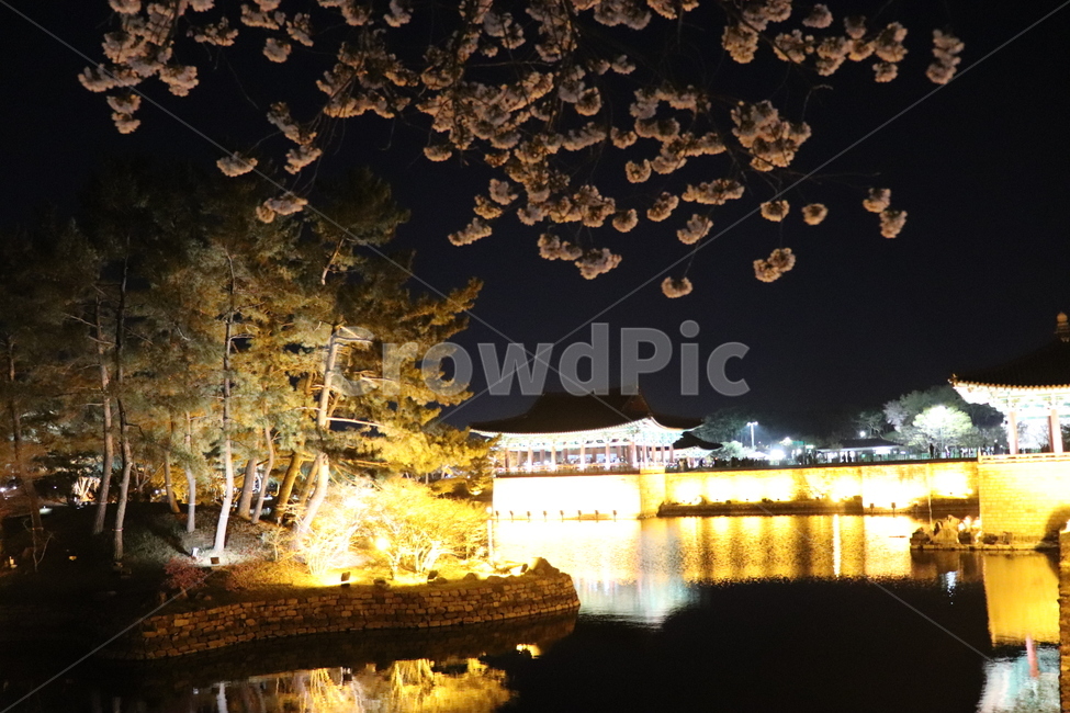 안압지,동굴과월지,야경,안압지야경,한국전통,한국랜드마크,경주,밤,풍경,봄,계절,spring,season,야경,밤,풍경,nightscape,night,landscape,한국전통,한국문화,korean traditional,korean culture,랜드마크,landmark,tourist attraction,한국랜드마크,한국관광지,한국명소,korea landmark,korea tourist attraction,architecture,건축물,building,건물,temple,신전