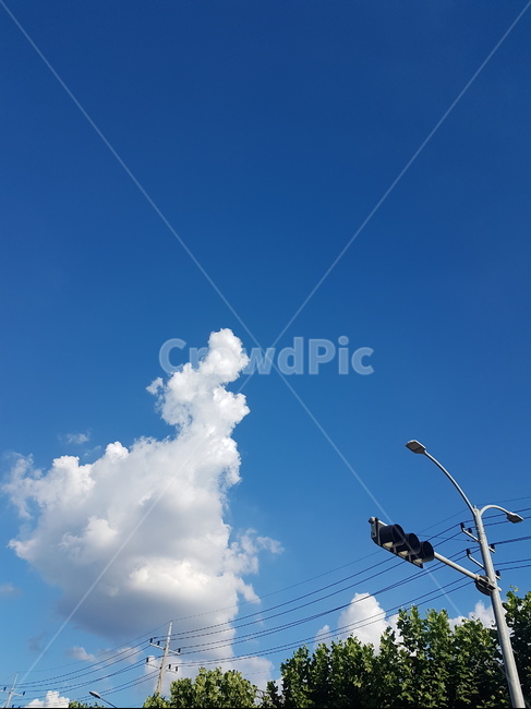 하늘,구름,맑은날씨,신호등,자연,풍경,sky,자연,풍경,nature,landscape,outdoors,옥외