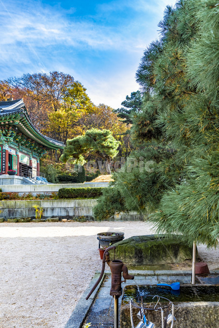 가을,단풍,전통가옥,사찰,약수,하늘,계절,가을느낌,가을서정,자연,풍경,나무,식물,가을,계절,fall,autumn,season,architecture,건축물,building,건물