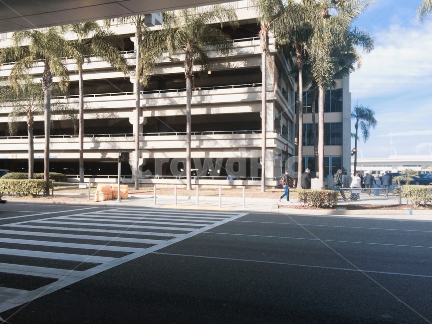 asphalt,아스팔트,road,도로,human,인간,person,사람,building,빌딩,나무,tree