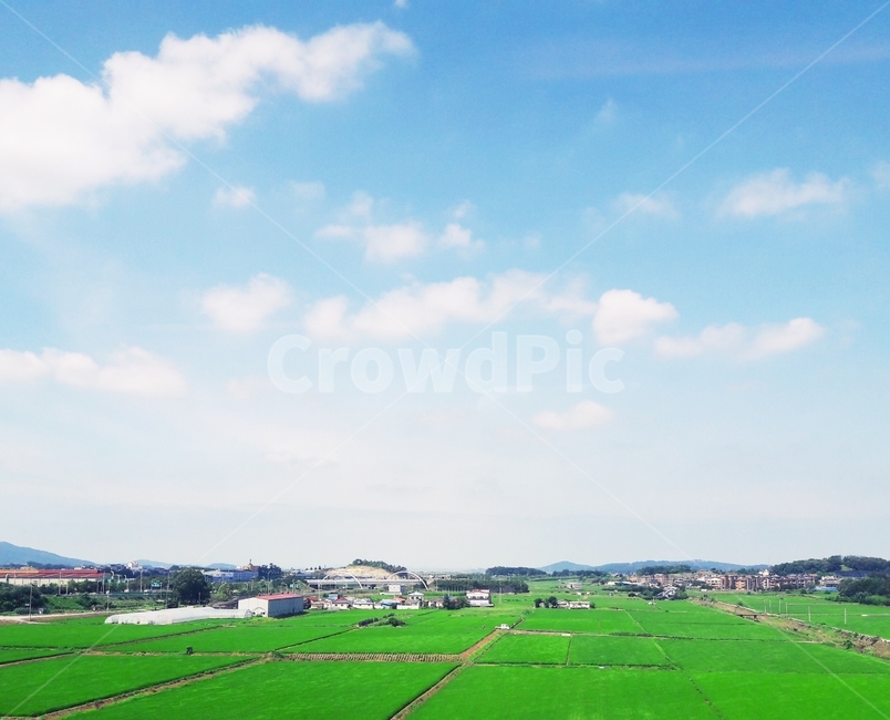 nature,자연,outdoors,field,들,시골,목초지,시골,마을,풍경,landscape,country,rural,town