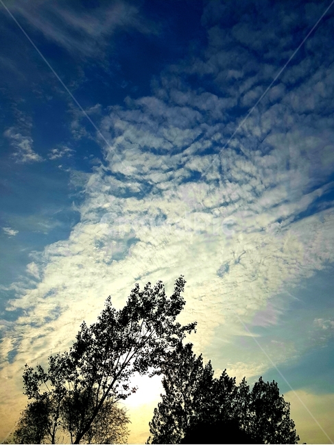 자연,구름,노을,옥외,빛,tree,그림자,sunset,cloud