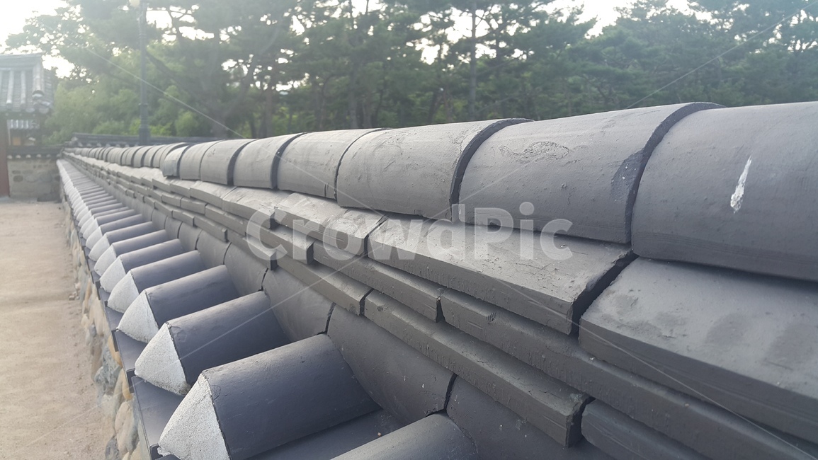 기와,담,나무,rooftile,wall,tree,한국전통,한국문화,korean traditional,korean culture,건축물,건물외관,exterior,building,structure,architecture,construction