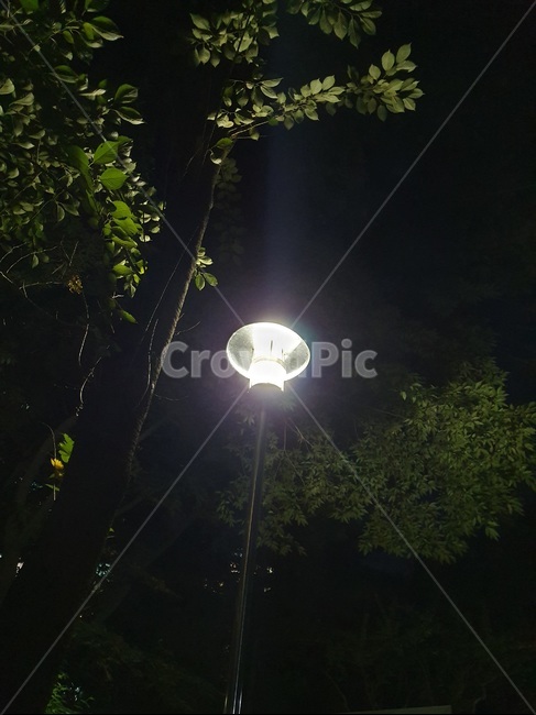 가로등,streetlight,streetlamp,불빛,light,야경,밤,저녁,night,nightview,outside