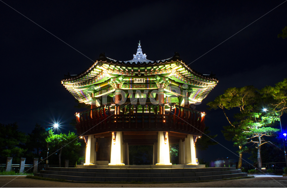 서울야경,야경,공원,park,경치,밤,풍경,빛,light,응봉산,팔각정