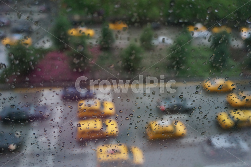 뉴욕,비오는날,택시,옐로우캡,창문,유리창,빗방울,비,뉴욕택시,yellowcab,newyorkcitytaxicabs,newyorktaxi,taxi,교통수단,거리,transportation,yellow,뉴욕명물,해외도시,해외도시풍경,거리풍경,창밖풍경,rain,rainy,비,비오는날,rain,rainy,교통,교통수단,traffic,transportation