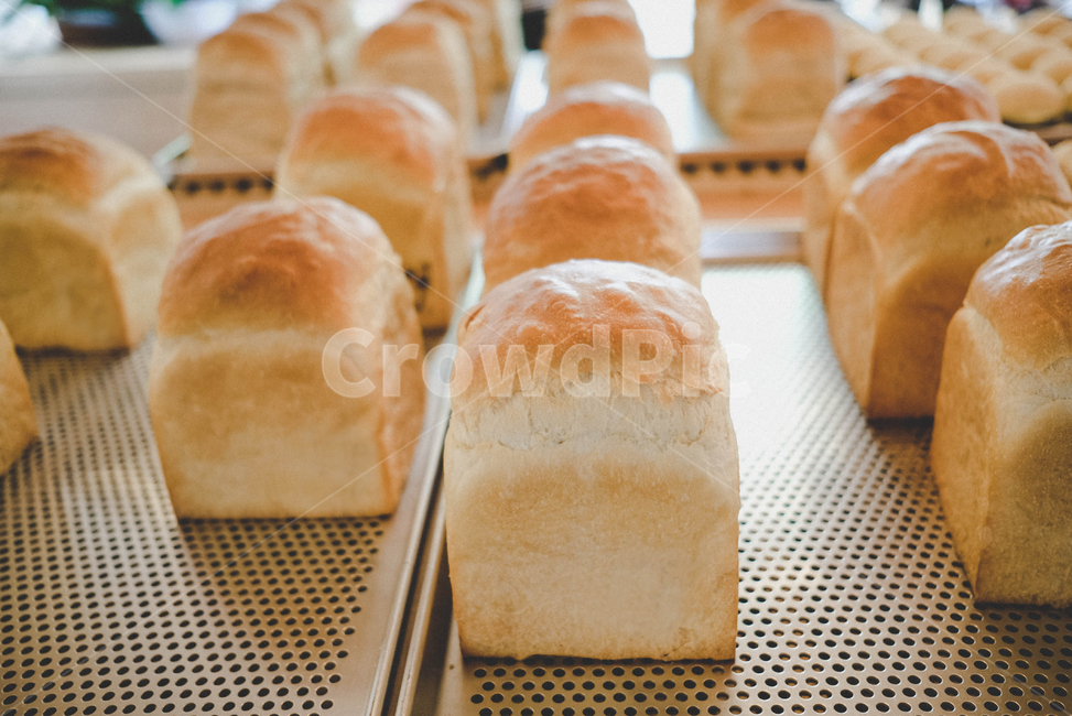 빵,음식,food,bread,bun,식빵,홈카페,빵,bread