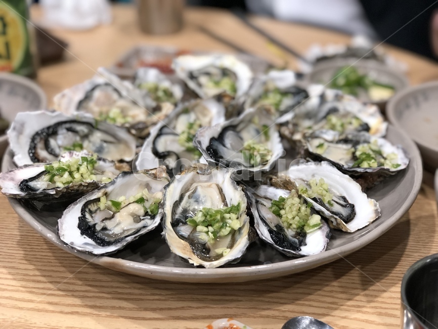 굴,회,생굴,석화,음식,음식,식재료,요리,food,cook,meal,dishes,food reserves,수산물,해산물,fishery products,seafood