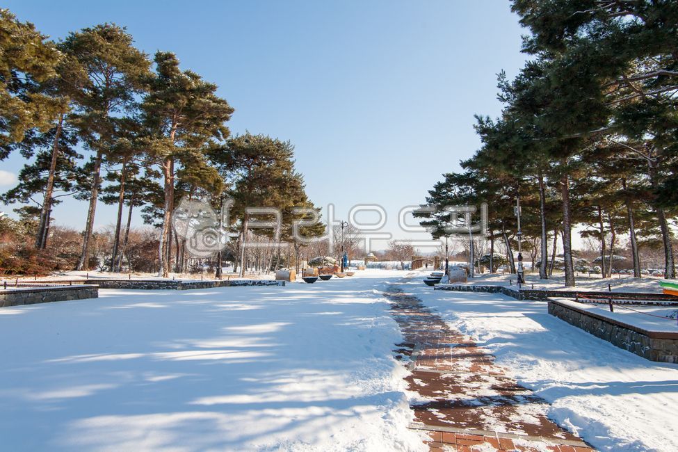 대전,한밭수목원,동원,둔산대공원,풍경,1월,산책로,자연,경치,겨울풍경,설경,눈,도심공원,nature,snow,winter,park,landscape