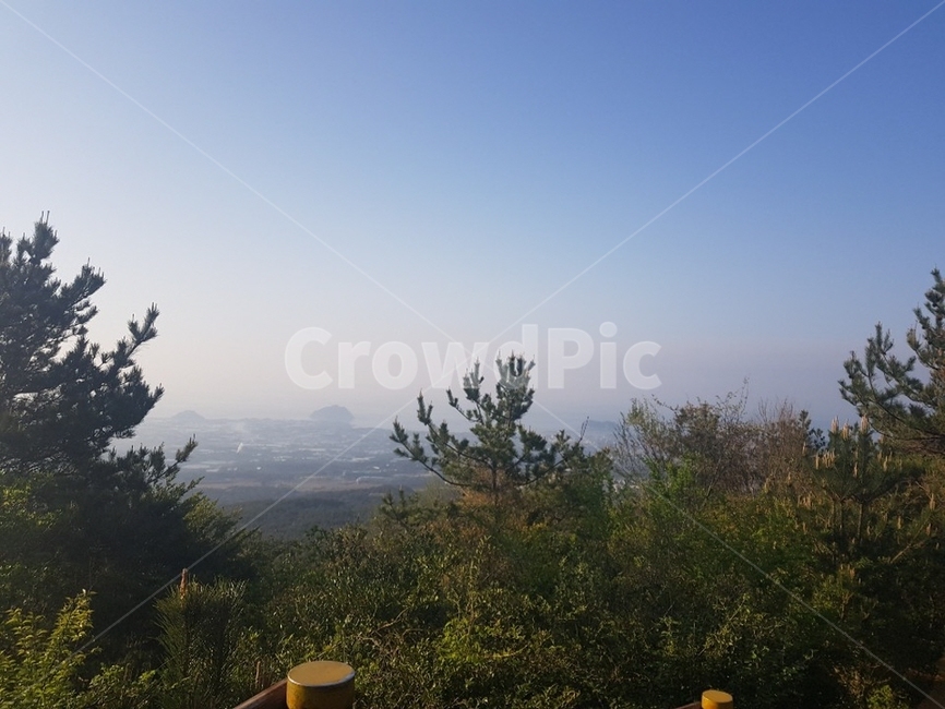 제주도,서귀포,오름,정상,나무,날씨맑음