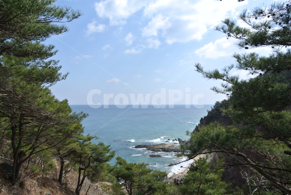 바다,풍경,동해바다,겨울바다,파도,korea,sea,강원도,강릉,부채길,자연,풍경,nature,landscape,한국자연풍경,한국자연경관,korea nature landscape,promontory,곶,outdoors,옥외,land,땅,plant,식물,tree,나무,water,물,shoreline,해안선
