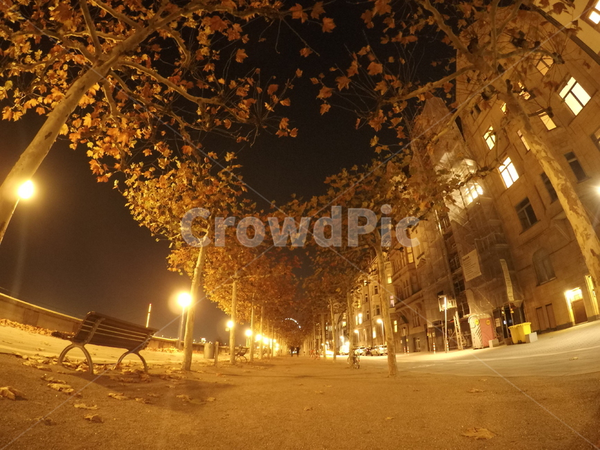 뒤셀도르프,dusseldorf,야경,가로수,벤치,야경,밤,풍경,nightscape,night,landscape